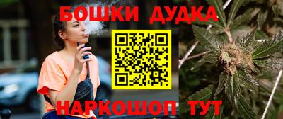 Альфа ПВП Канаш