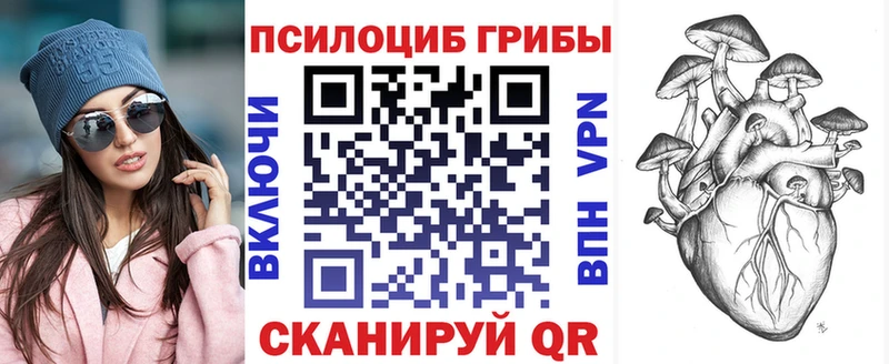Галлюциногенные грибы мицелий  МЕГА ссылки  Людиново  купить наркотики сайты 