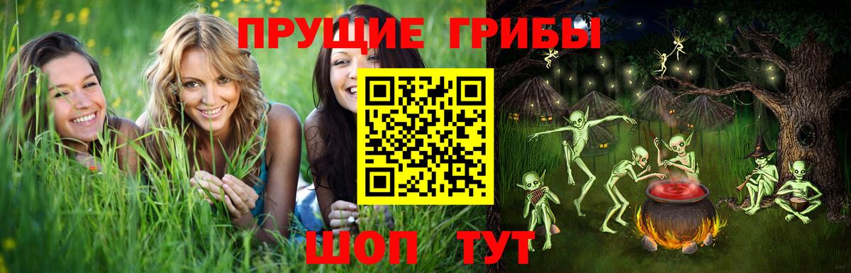 Людиново  Псилоцибиновые грибы мицелий  Вход с VPN 